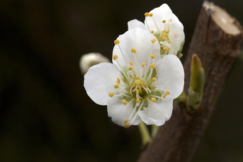 Aria di primavera...